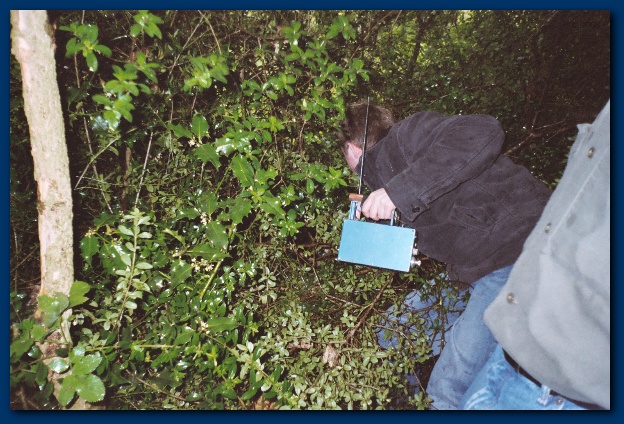 600x399 pixels (162K)